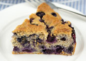 Low Sugar Blueberry Cake